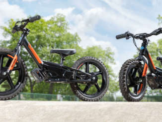 2021 Harley-Davidson IRONe12 IRONe16
