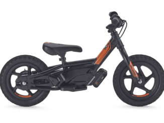 2021 Harley-Davidson IRONe12