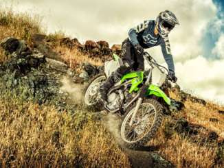 2021 Kawasaki KLX230R