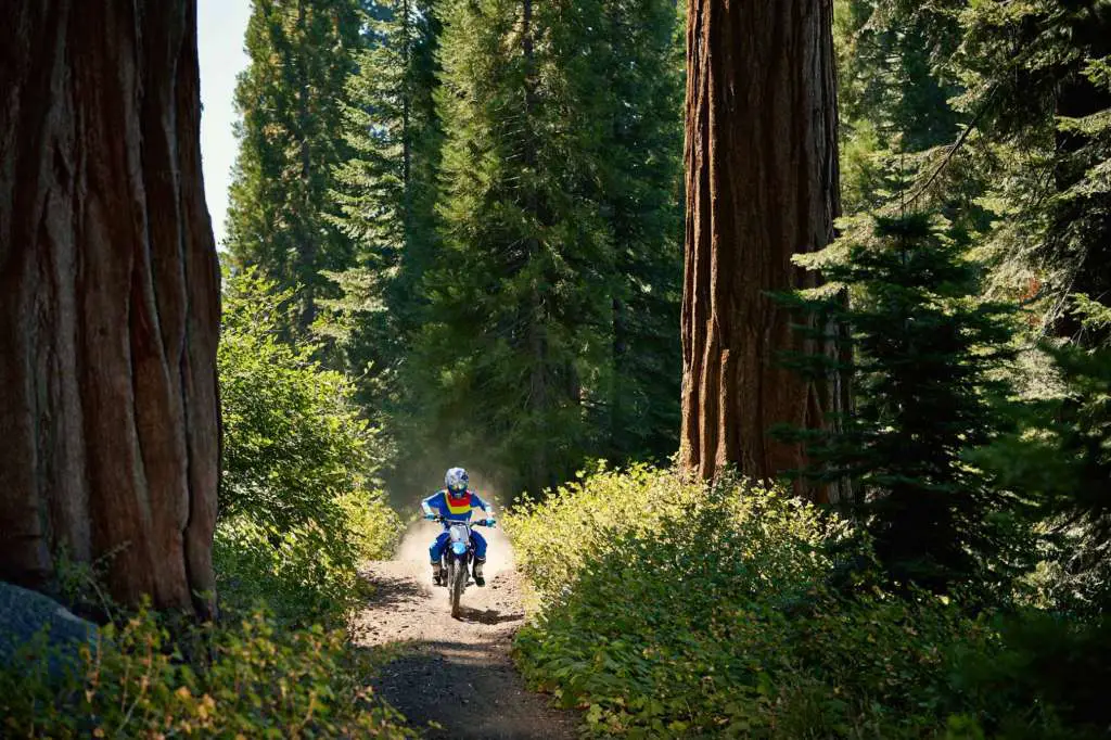 2021 Yamaha TT-R125LE