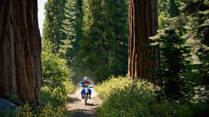 2021 Yamaha TT-R125LE