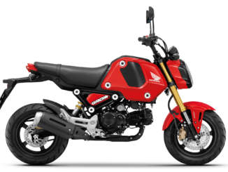 2021 Honda MSX 125 Grom ABS