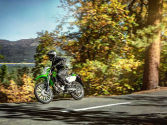 2021 Kawasaki KLX300
