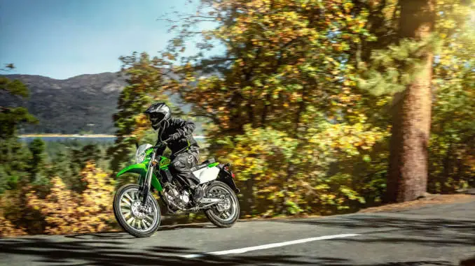 2021 Kawasaki KLX300