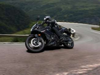 2021 Suzuki GSX250R ABS