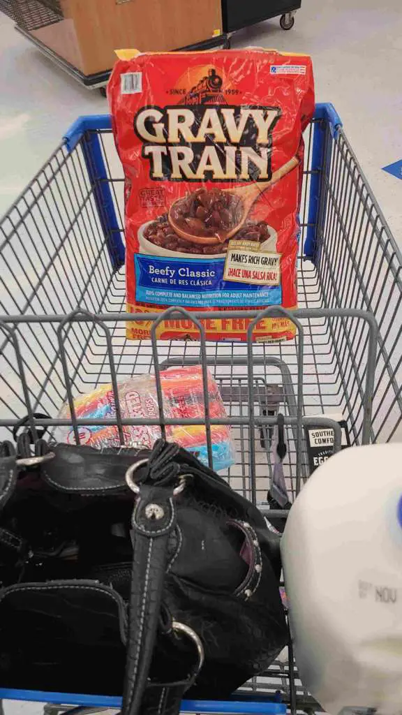 Could You Live Day to Day with a Slingshot?