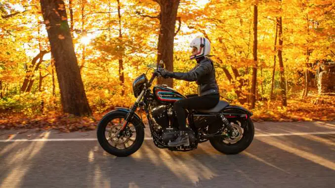 2021 Harley-Davidson Iron 1200