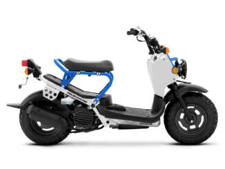 2022 Honda Ruckus