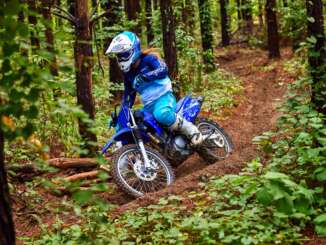 2022 Yamaha TT-R125LE