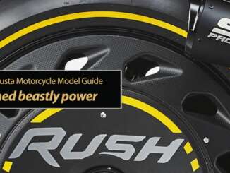 Heart-stopping untamed beastly power