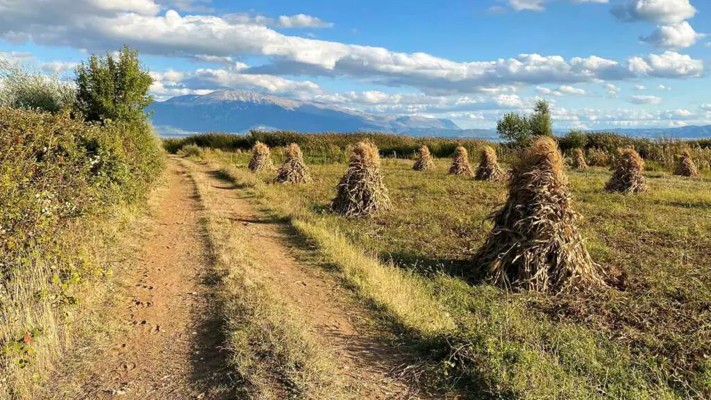 Inspiration Friday: International GS Trophy 2022