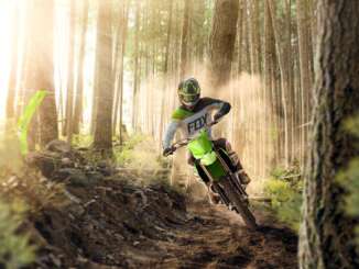 2022 Kawasaki KX450X