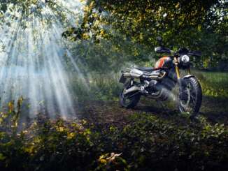 2022 Triumph Scrambler 1200XE Gold Line