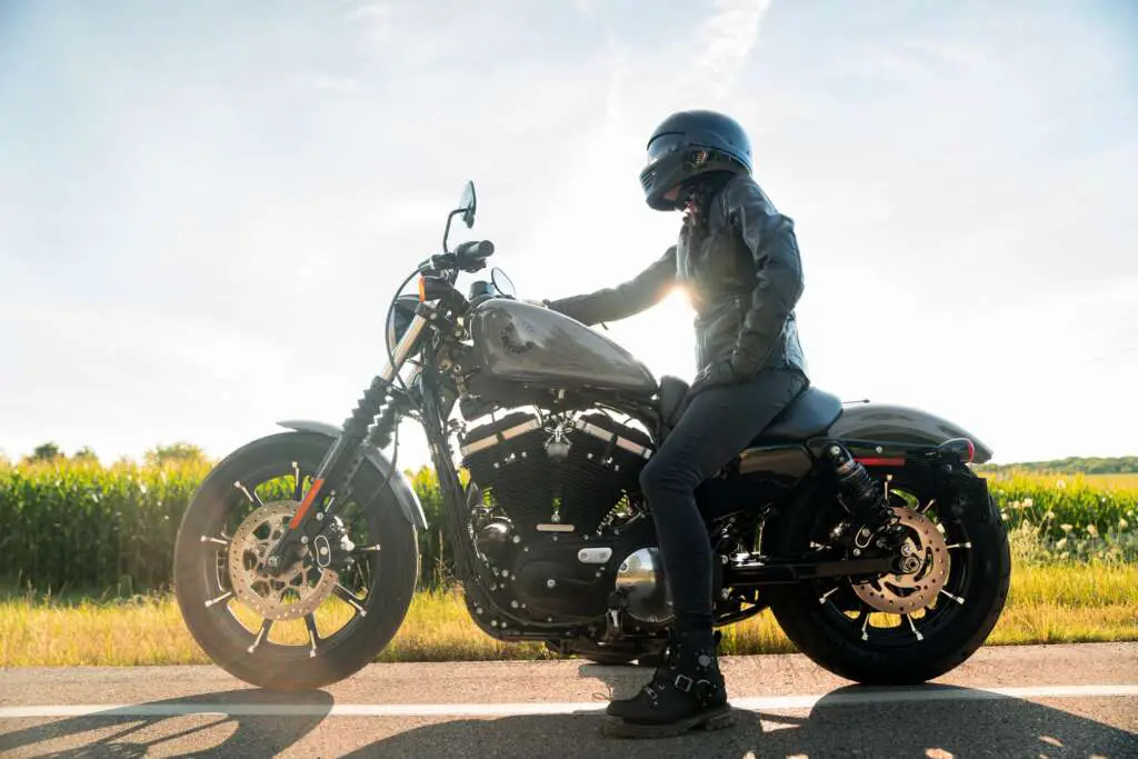 2022 Harley-Davidson Iron 883