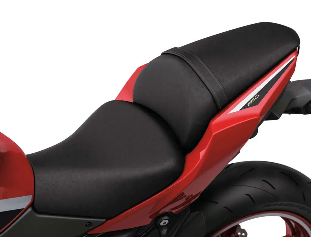 2022 Kawasaki Z650 50th Anniversary