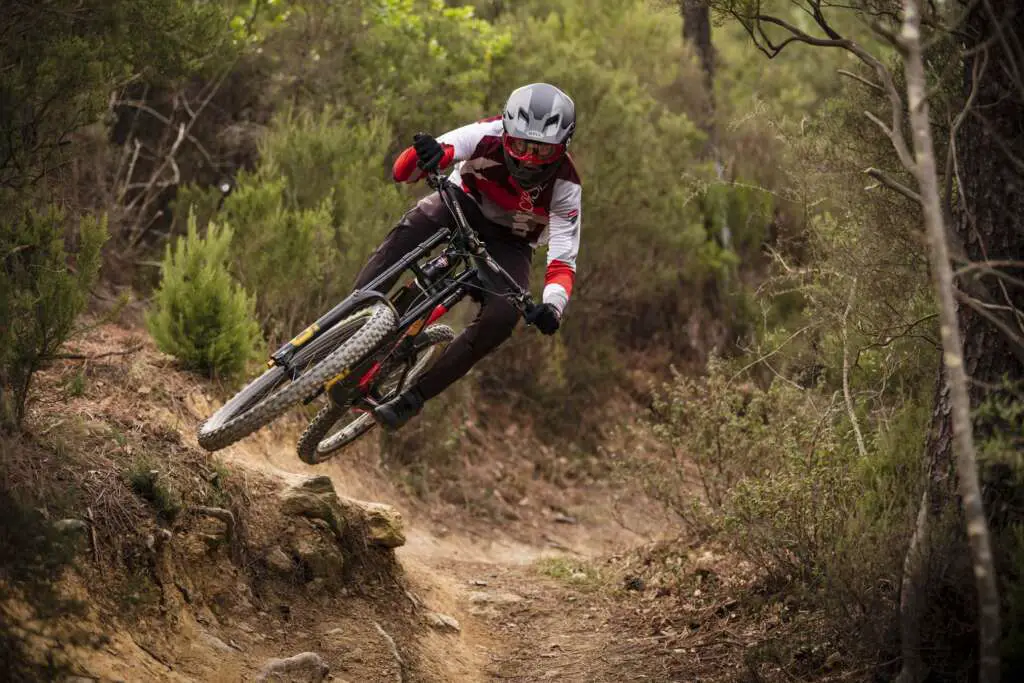 2022 Ducati TK-01RR Limited Edition