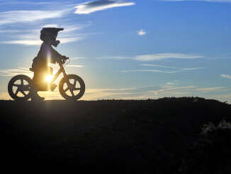 2022 Husqvarna 16eDrive