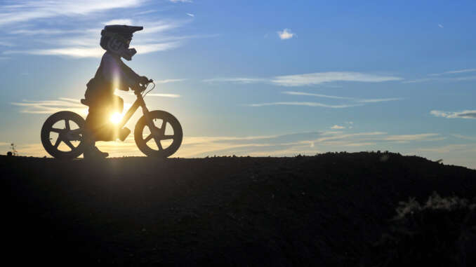 2022 Husqvarna 16eDrive