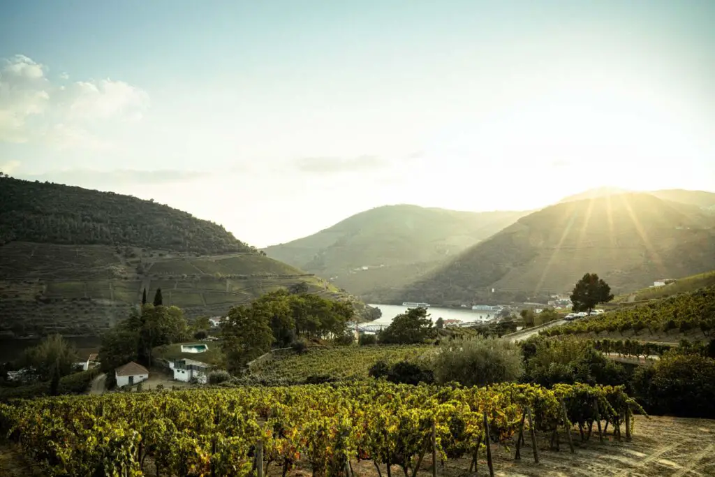 Inspiration Friday: Easter Fuel for Life