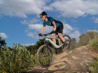 2023 Harley-Davidson Serial1 SWITCH/MTN