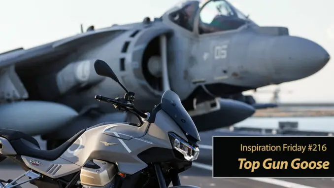 Inspiration Friday Top Gun Goose