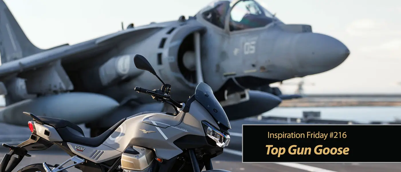 Inspiration Friday Top Gun Goose