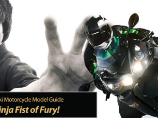 2023 Kawasaki Ninja Fist of Fury!