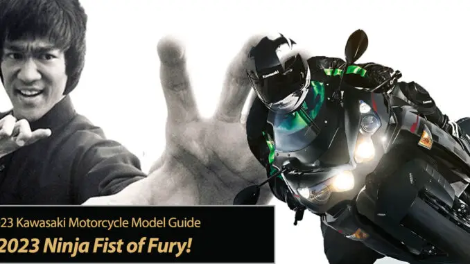 2023 Kawasaki Ninja Fist of Fury!