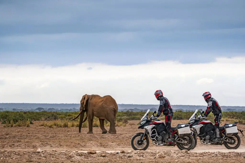 2023 Ducati Multistrada V4 Rally