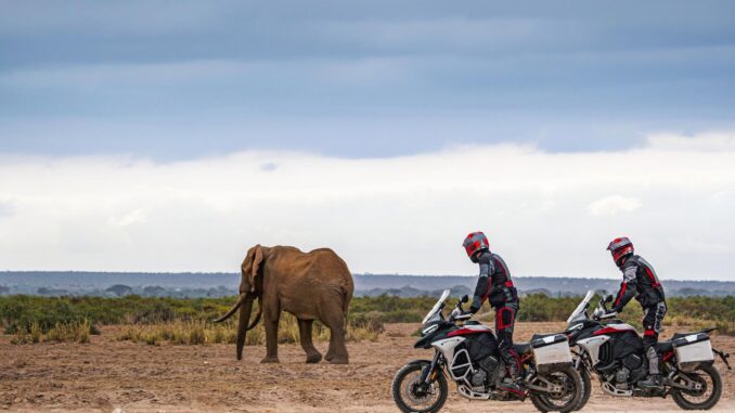 2023 Ducati Multistrada V4 Rally