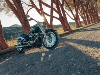 2023 Harley-Davidson Fat Boy 114