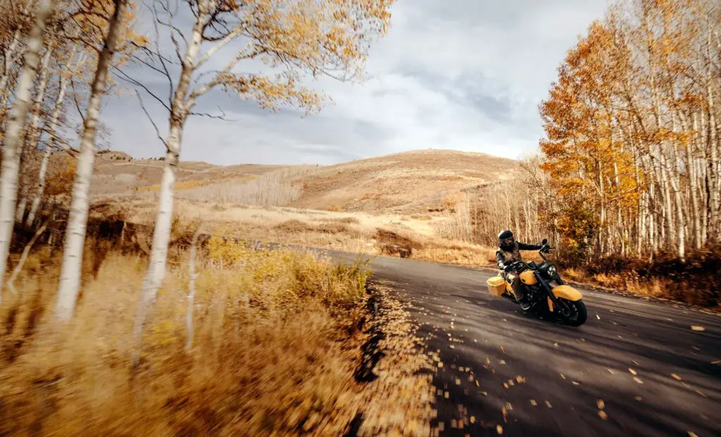 2023 Harley-Davidson Road King Special