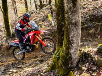 2023 Honda CRF300L Rally ABS