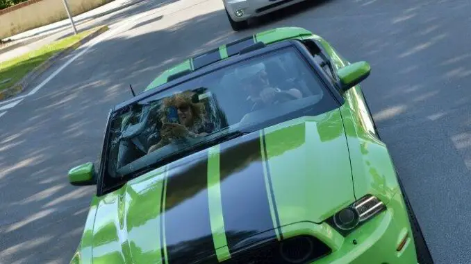 Biker Fest 2023 features American Hot Rods