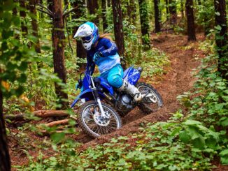 2024 Yamaha TT-R125LE