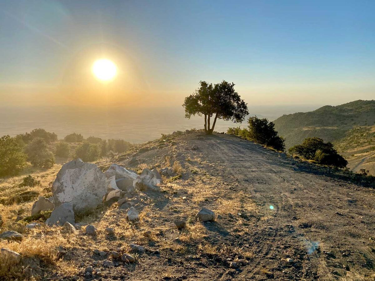 Inspiration Friday: Fascinating TransAnatolia Rally