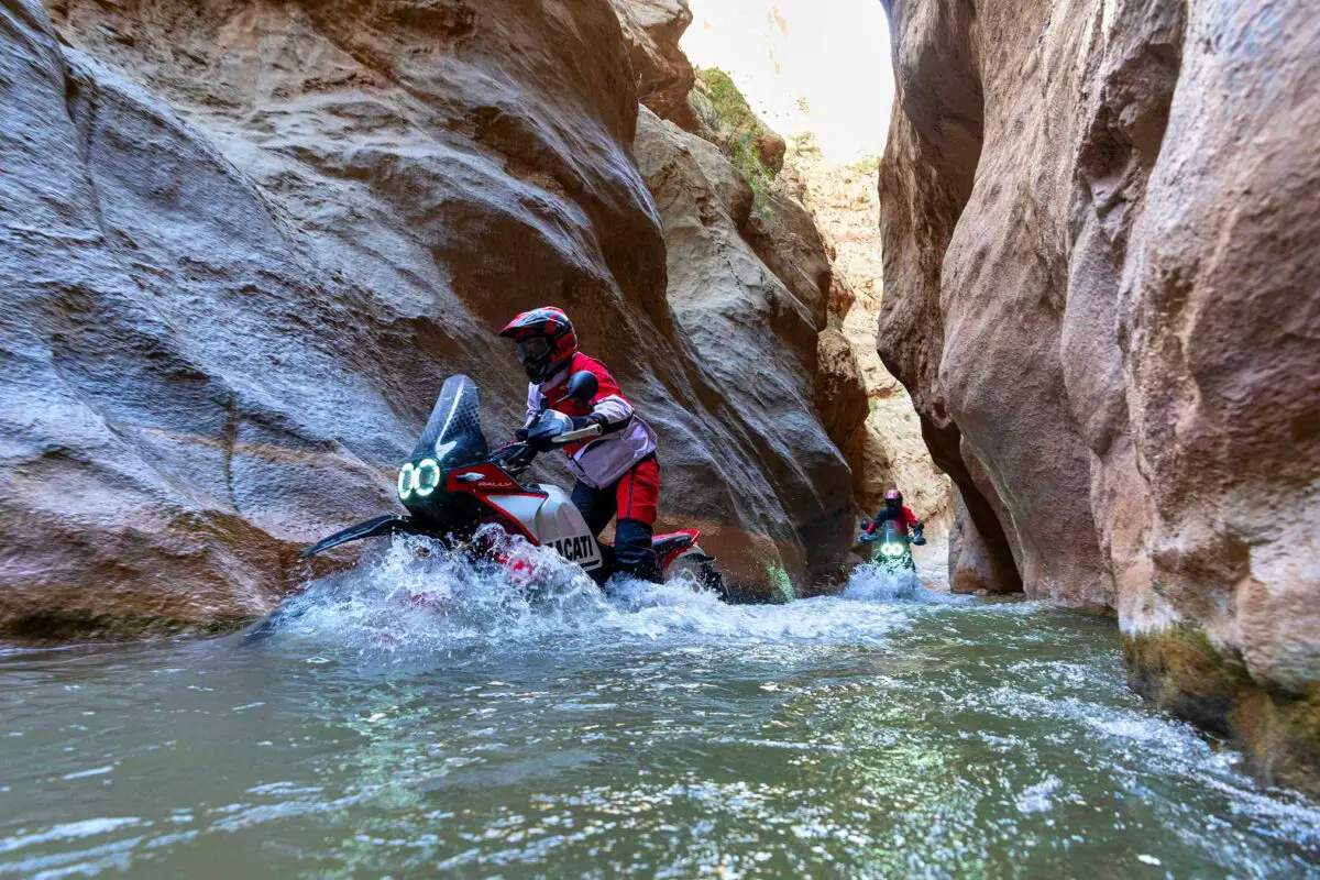 2024 Ducati DesertX Rally