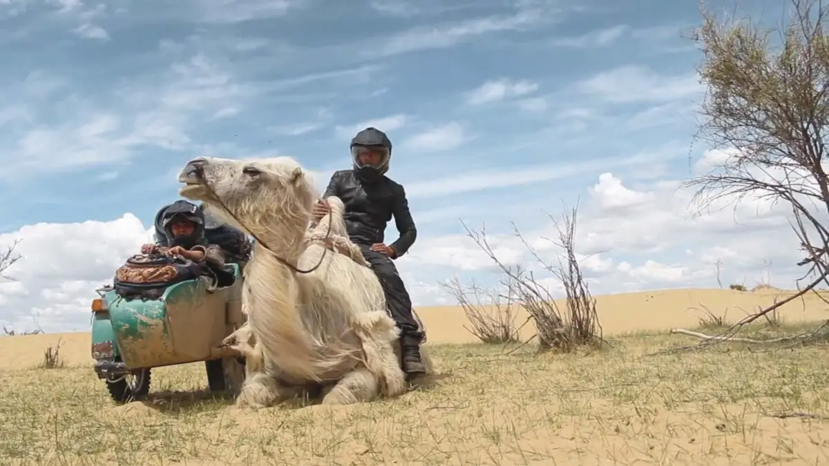 Inspiration Friday: 43000km’s by Land to New York