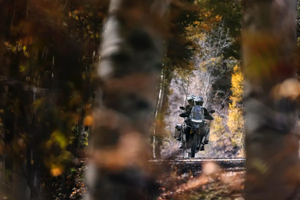 2024 Triumph Tiger 1200 Rally Explorer