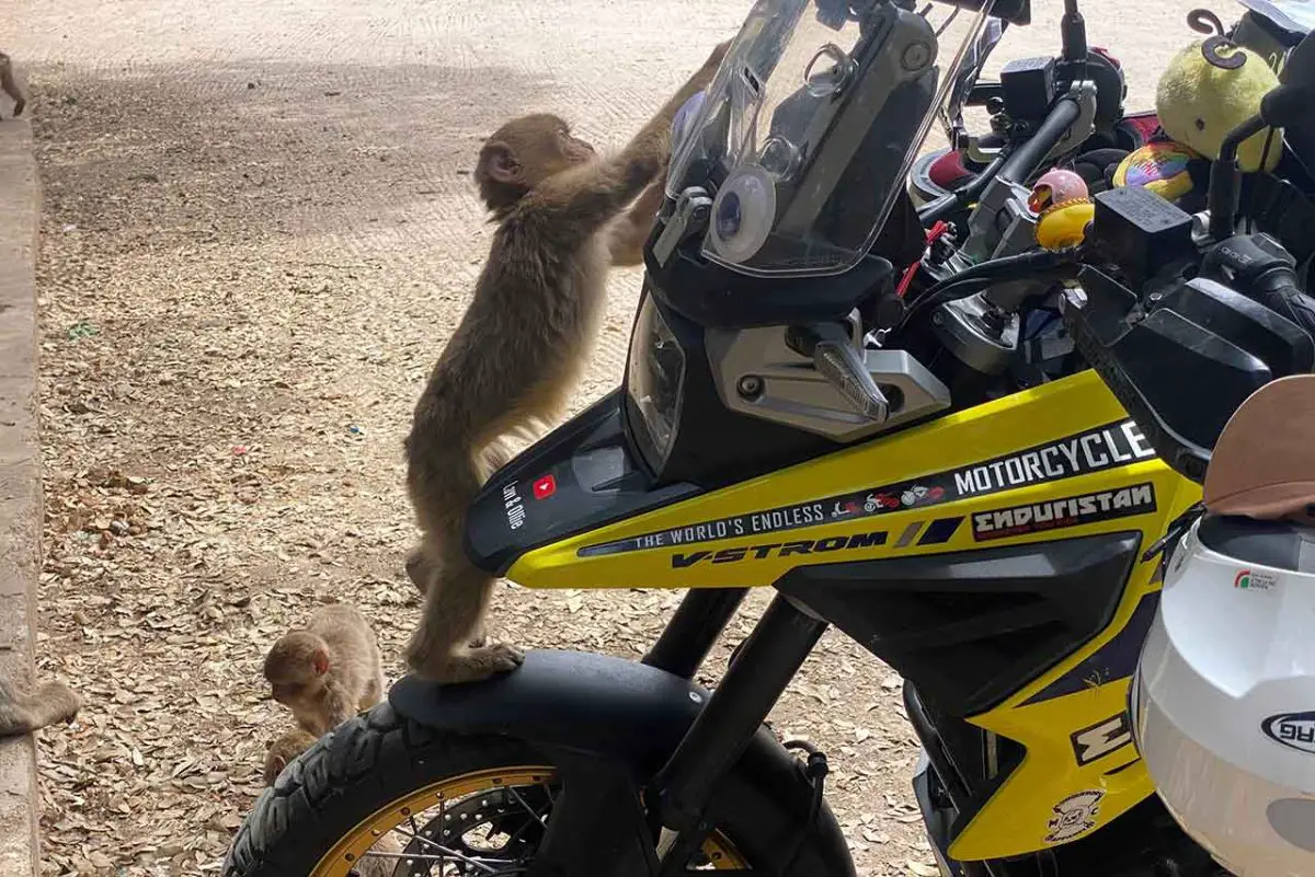 Inspiration Friday: Motorcycle Couple Circumnavigates the World