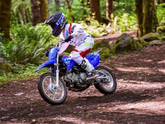 2025 Yamaha TT-R110E