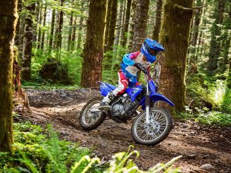 2025 Yamaha TT-R125LE