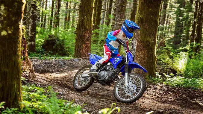 2025 Yamaha TT-R125LE