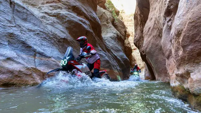 2025 Ducati DesertX Rally