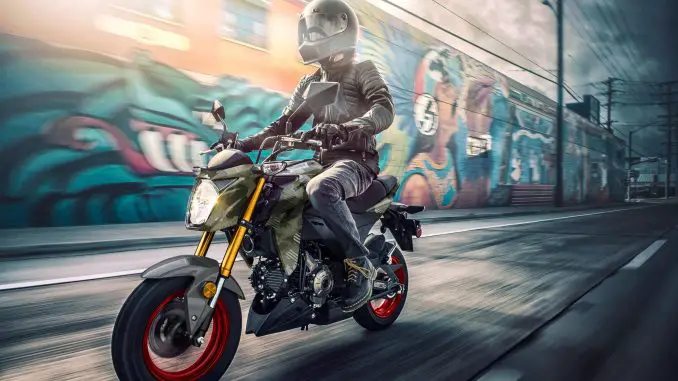 2025 Kawasaki Z125 Pro