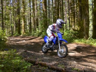 2026 Yamaha TT-R110E