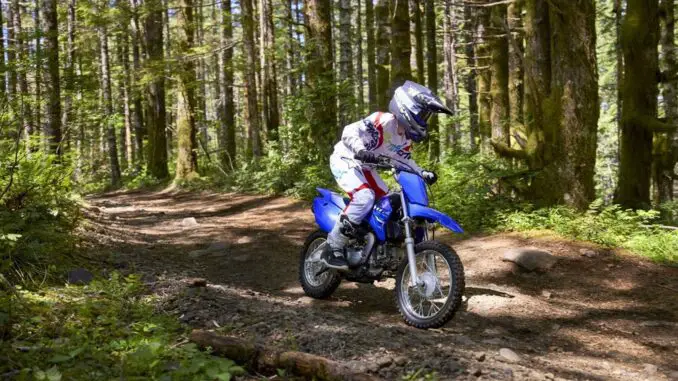 2026 Yamaha TT-R110E