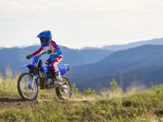 2026 Yamaha TT-R125LE