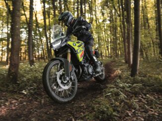 2026 BMW F900GS